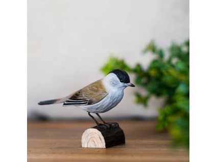 164168861 origpic 0a4ead