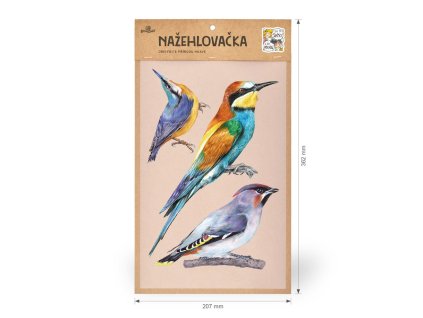 nazehlovacka l 002 ptaci 2