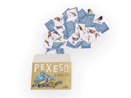 papirove pexeso z ptaci rise