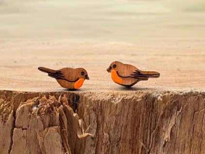 Dřevěné náušnice Červenky