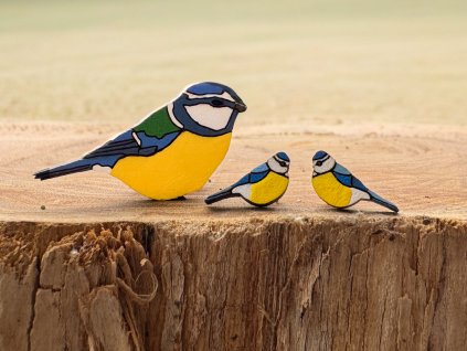 Dárkový set náušnic a brože Sýkorka