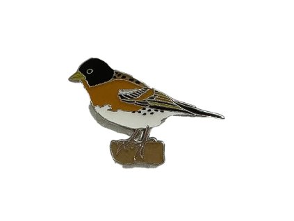 56ac9012 0396 402f 8c66 fd356ca7a3db