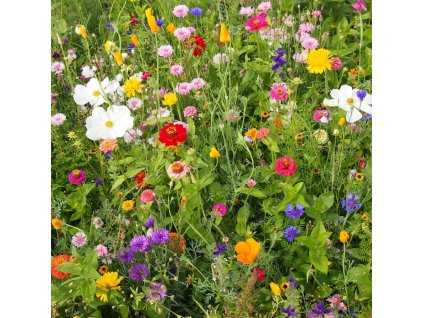 Snímek obrazovky 2026 02 16 130348