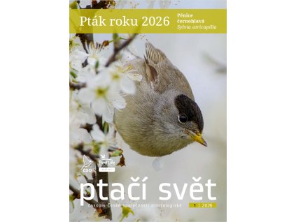 Snímek obrazovky 2026 03 06 090324