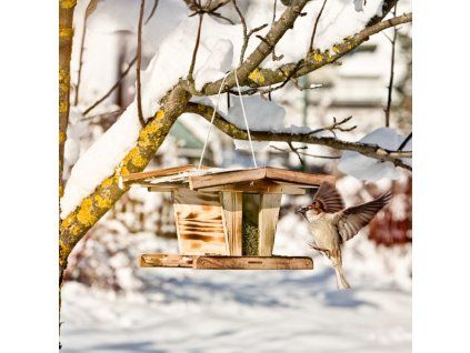 Krmítko pro ptáky Chalet - velké