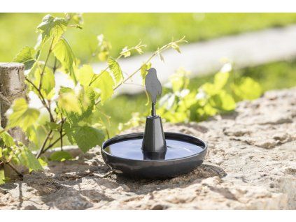 224962 07739 vogelhaus 07.6c7bc2a9