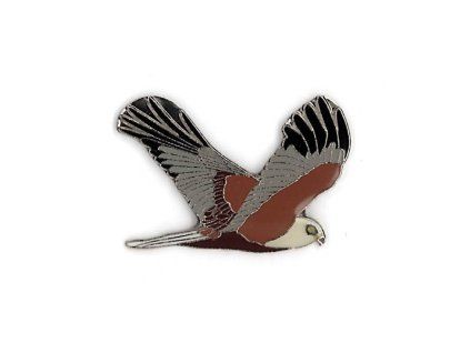 Odznáček - moták pochop