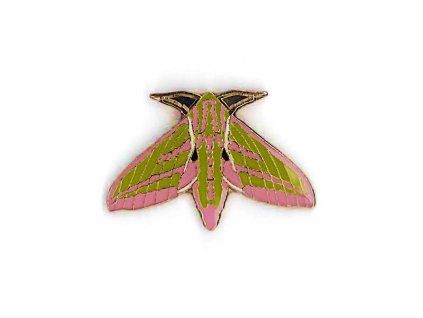 Odznáček - lišaj vrbkový