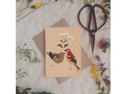 penkavy pranicko market ilustrace