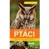 5275 ptaci