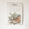 Nástěnný kalendář Ptačí zpěv 2025