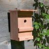 9088 1 budka pro ptaky birdy