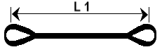 PP2O-L1