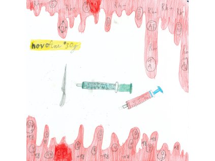 Waldorfská škola Dobromysl FABIÁN VLASÁK 8. třída