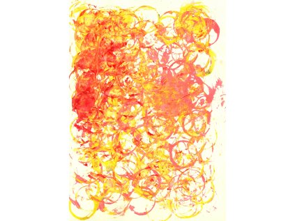 Waldorfská škola Dobromysl KAMILA FIŠEROVÁ 2 8. třída