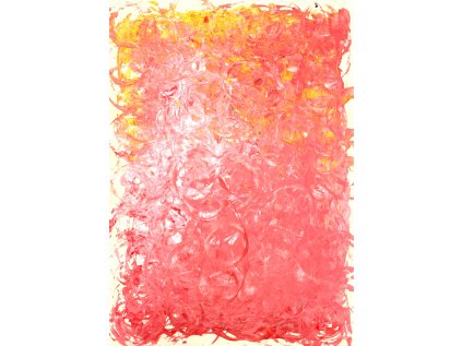 Waldorfská škola Dobromysl KAMILA FIŠEROVÁ 8. třída