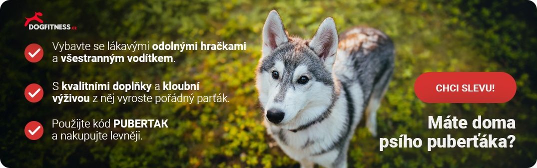 Máte doma Puberťáka?