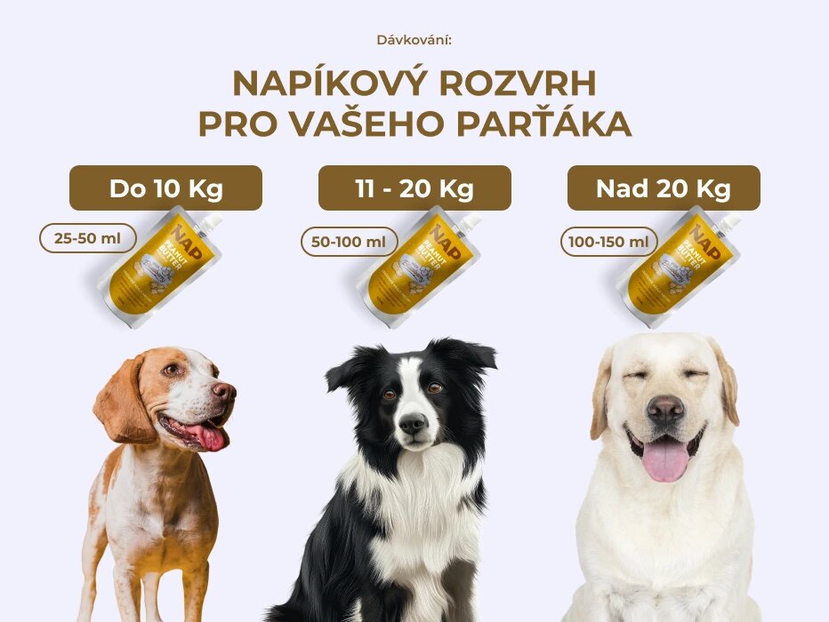 psiprotein_davkovani_boruvka