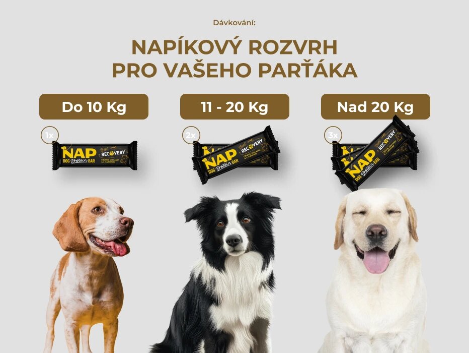 psiprotein_recovery_slozeni