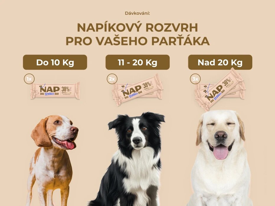 psiprotein_veprova_davkovani