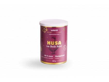 Husa pruhledne stin 01