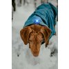 Orbiloc Dog Dual[Blue; Dog looking down snow; MSR PRO; Clip; Dog coat; Short fur; Large dog] LR