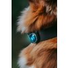 Orbiloc Dog Dual[Turquoise; Close up; MSR PRO; Clip; Collar; Medium fur; Medium dog] LR