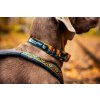 trail quest collar rp setting 3