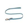 bungee leash ice blue