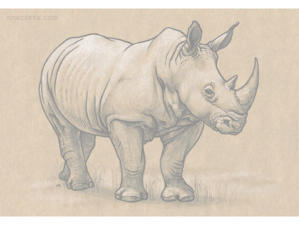 Inktober 2016/8 Rhinoceros
