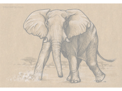 Inktober 2016/2 Elephant