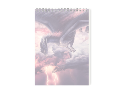 Skicak wings of storm vyprodano