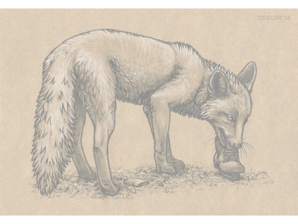 Inktober 2016/30 Fox