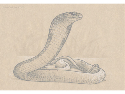 Inktober 2016/29 Cobra