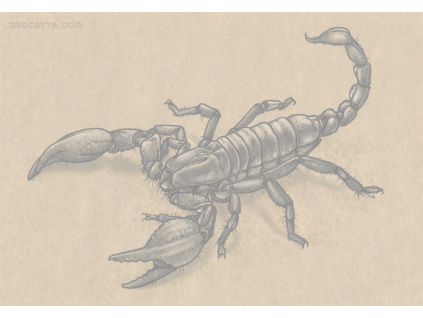 Inktober 2016/28 Scorpion