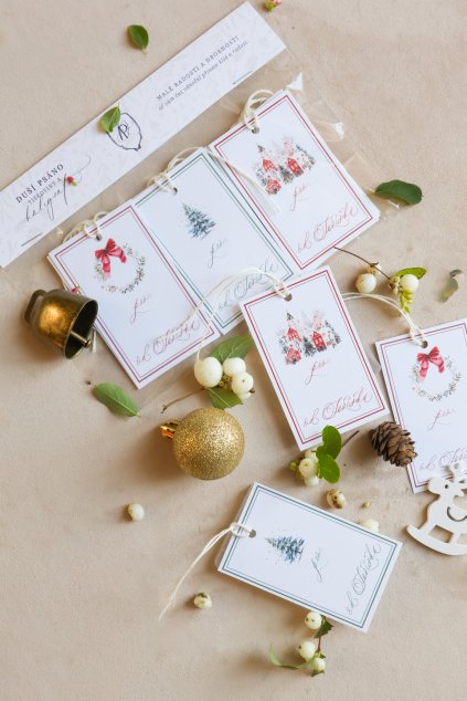 visacky vanocni prirodni sada