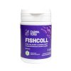 FISHCOLL - rybí kolagen s aroma máty 60 kostiček