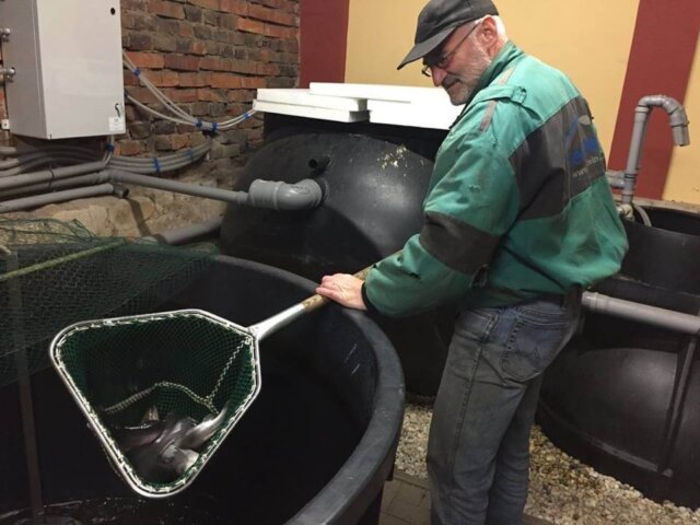 clanky-rybochov-rostislav-hellstein-640x480