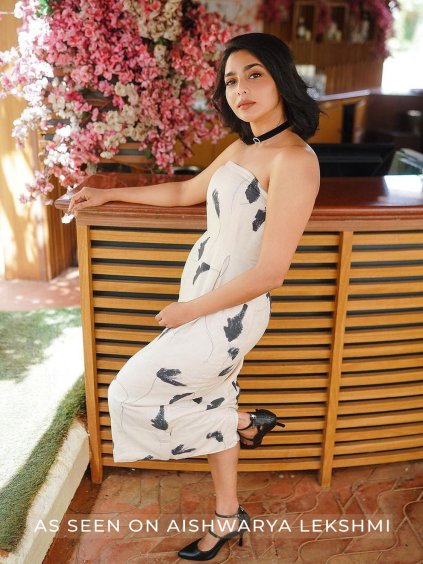 AISHWARYALEKSHMIDENISEDRESS