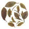 Rohini Darjeeling First Flush Tea 2026 First Pick Jethikupi (2)
