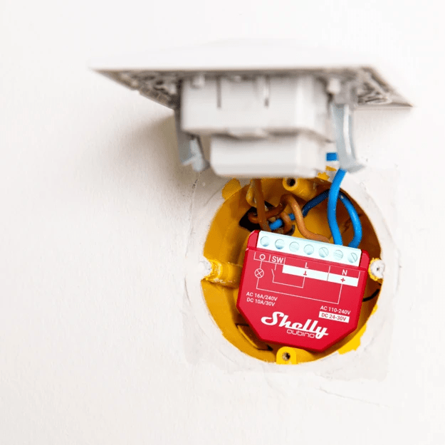 Shelly_Qubino_Wave_1PM