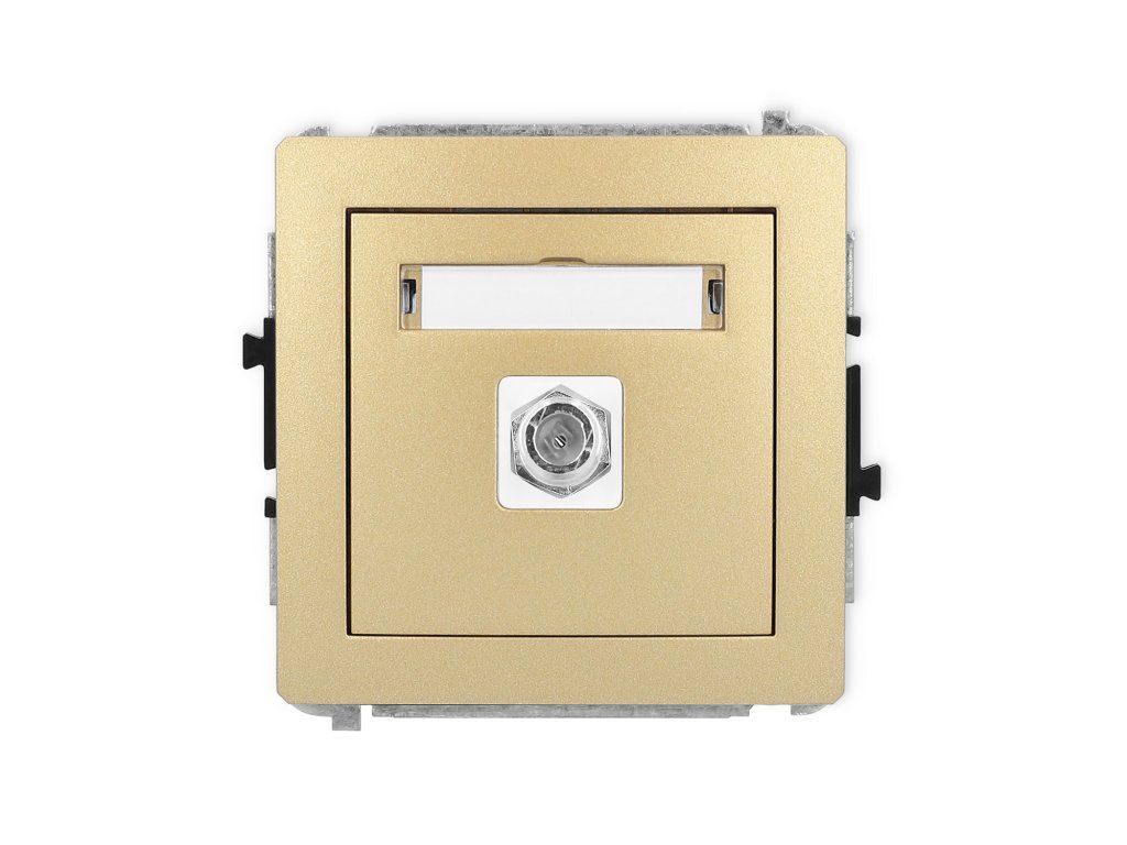 Single antenna F type socket (SAT) mechanism