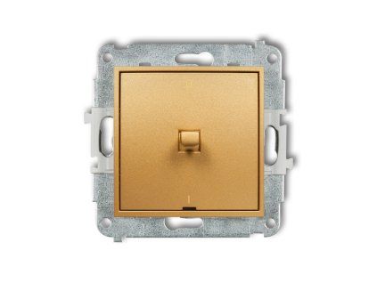 American-style double pole switch mechanism