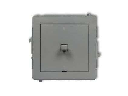 American-style double pole switch mechanism