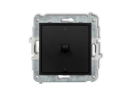American-style double pole switch mechanism