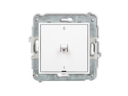 American-style double pole switch mechanism