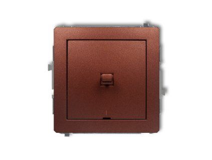 American-style double pole switch mechanism