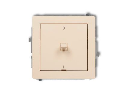 American-style double pole switch mechanism