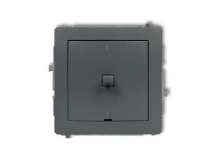 American-style double pole switch mechanism
