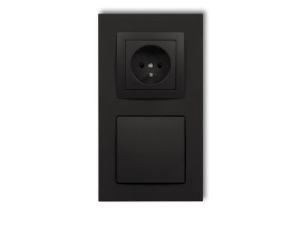 Central vacum cleaner suction socket with a single socket with earth